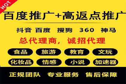 SEM推广策略：成功案例分享与启示